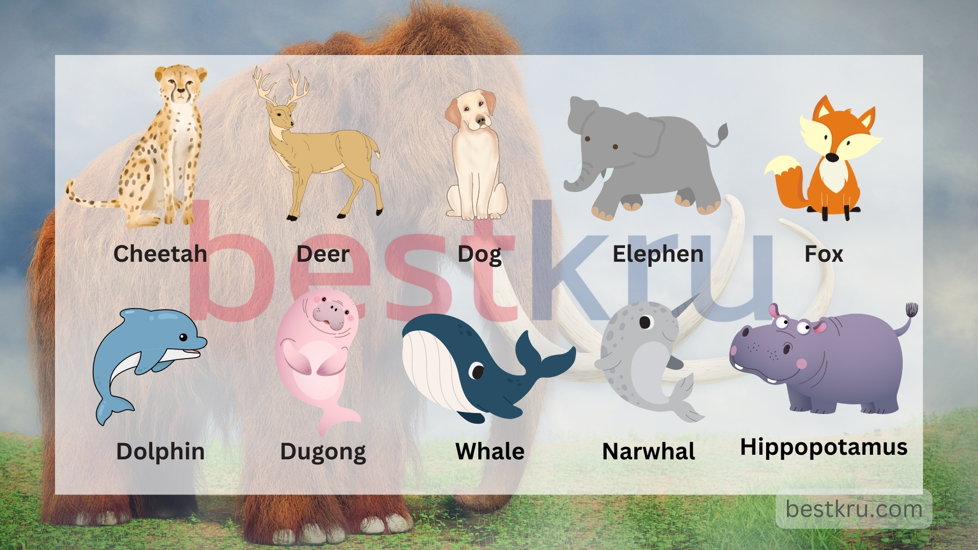 คำศัพท์ชื่อสัตว์ต่างๆ ภาษาอังกฤษ A-Z พร้อมคำอ่าน คำแปล – BestKru