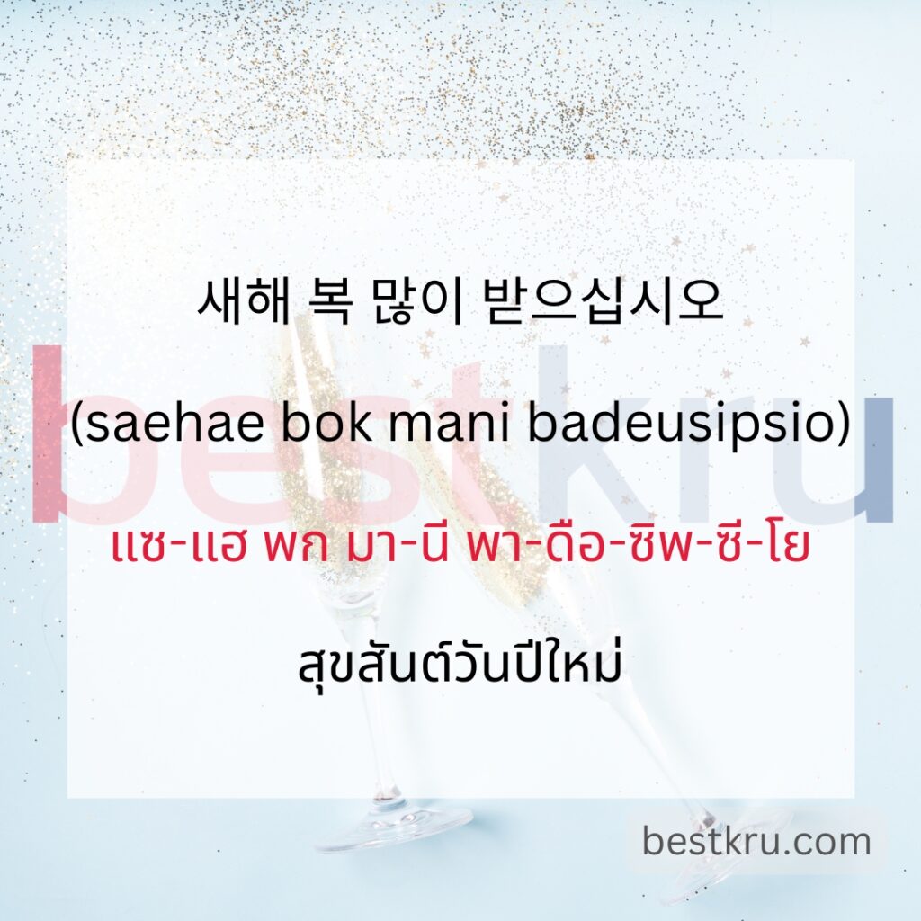 새해 복 많이 받으십시오
(saehae bok mani badeusipsio)
แซ-แฮ พก มา-นี พา-ดือ-ซิพ-ซี-โย
สุขสันต์วันปีใหม่